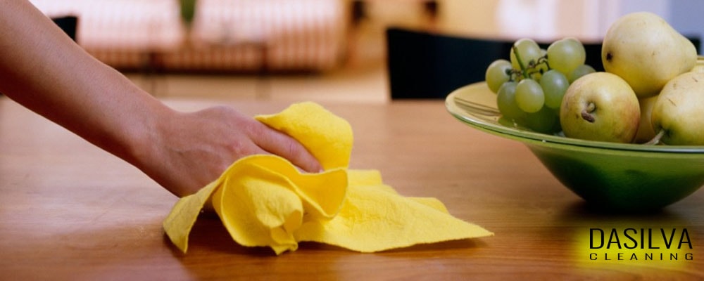 DaSilva Cleaning Services Contact US